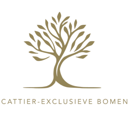 De Mooiste Boomen Logo