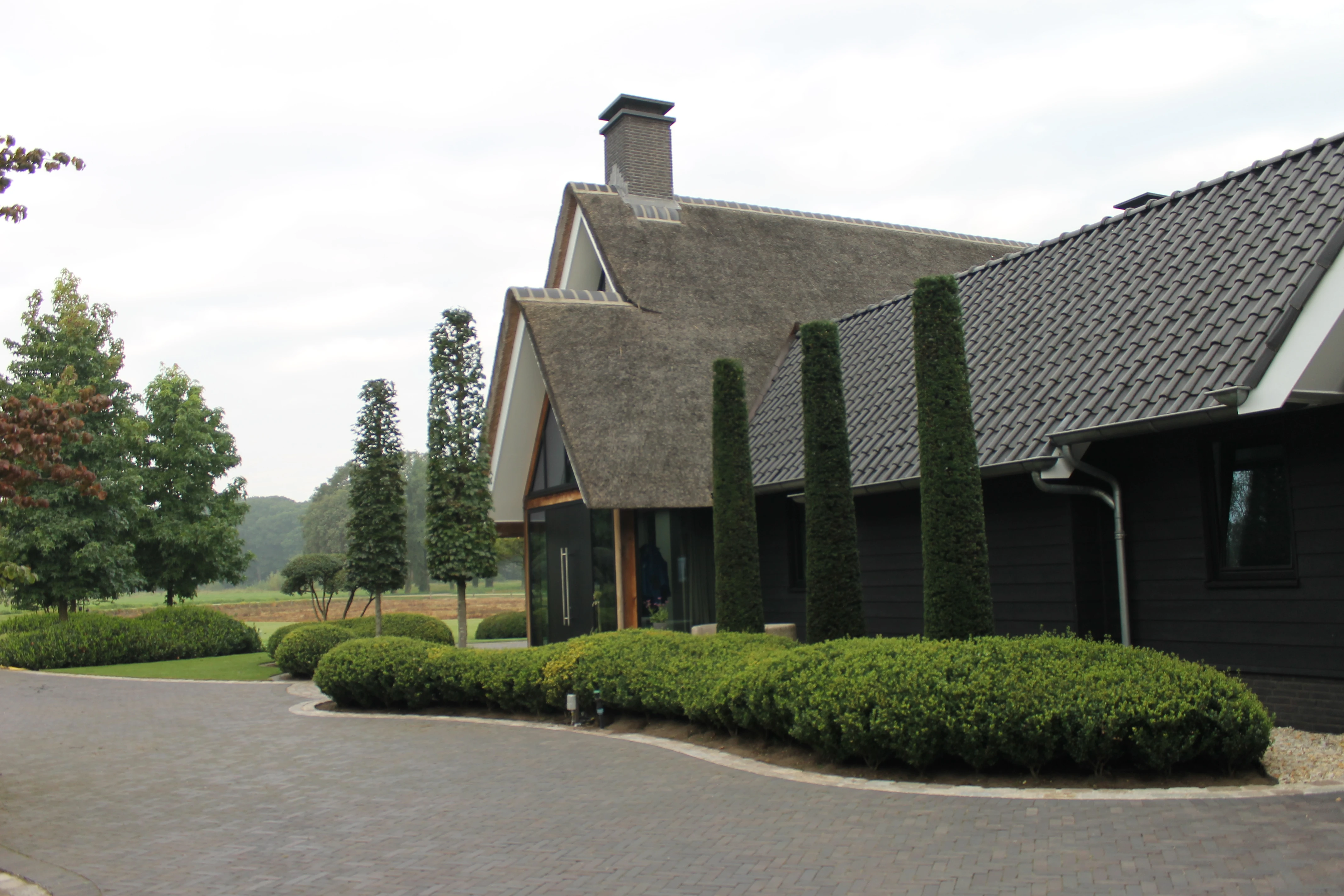 Grote bomen zorgen voor beslotenheid rondom zwemvijver -2