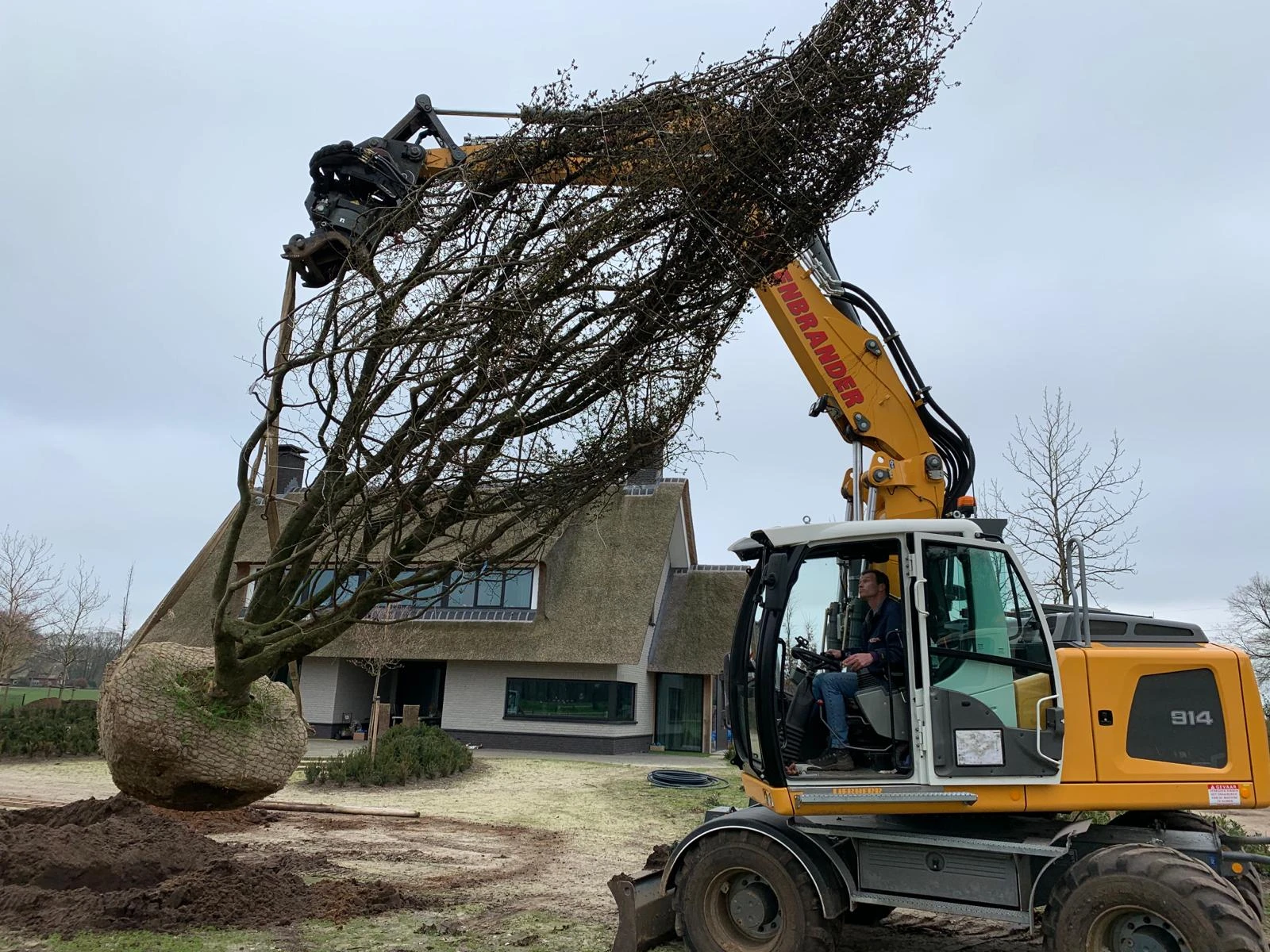 Transport van de bomen-12