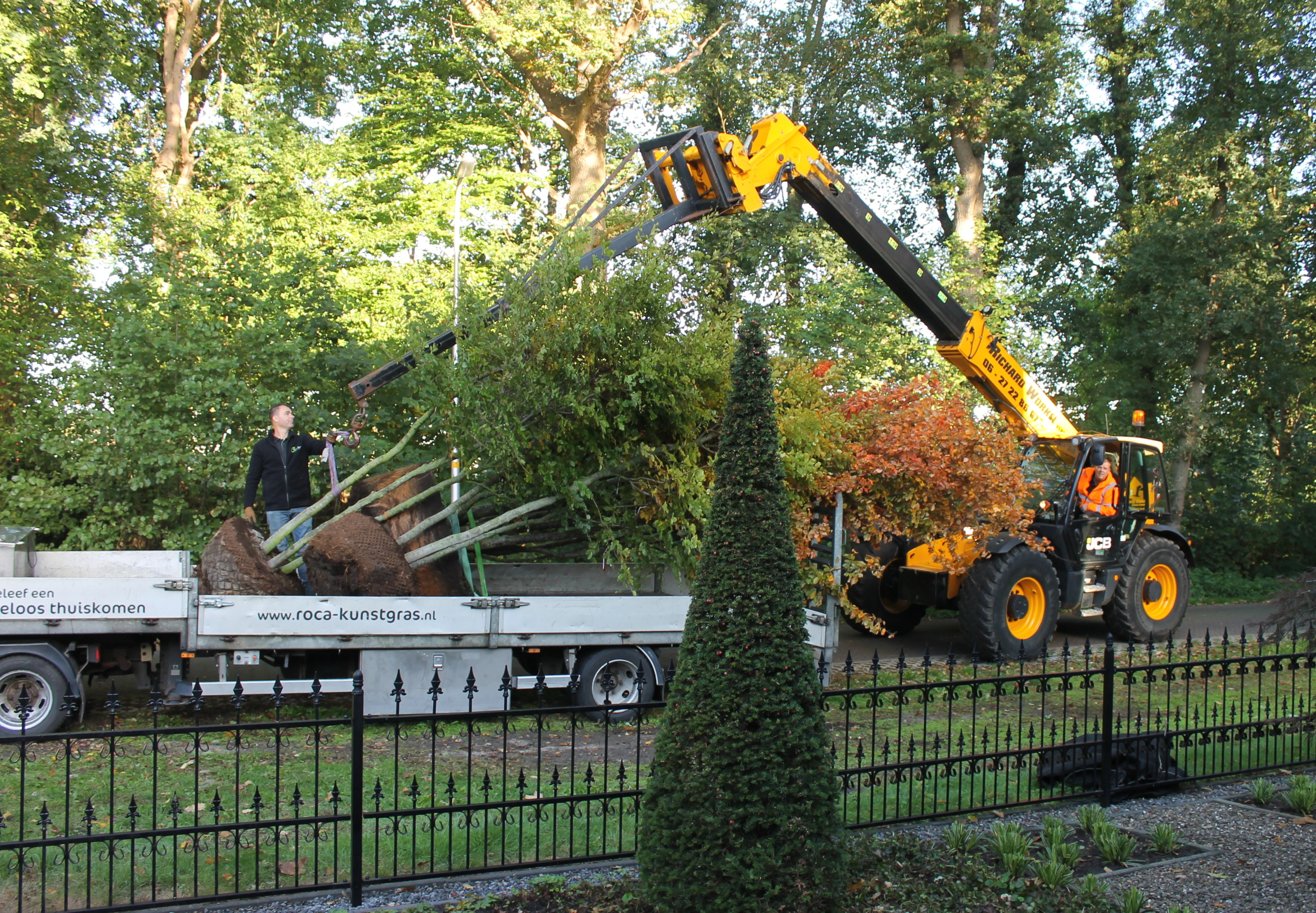 Transport van de bomen-4