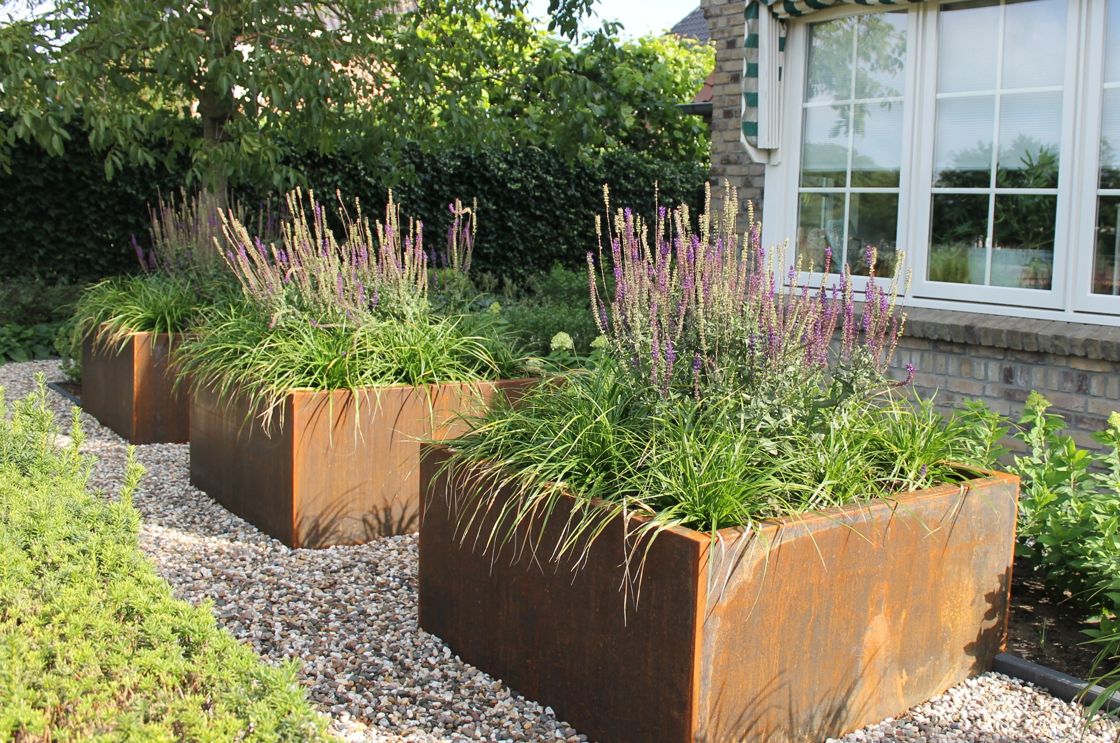 (Meerstammige) heesters in potten en plantenbakken -5