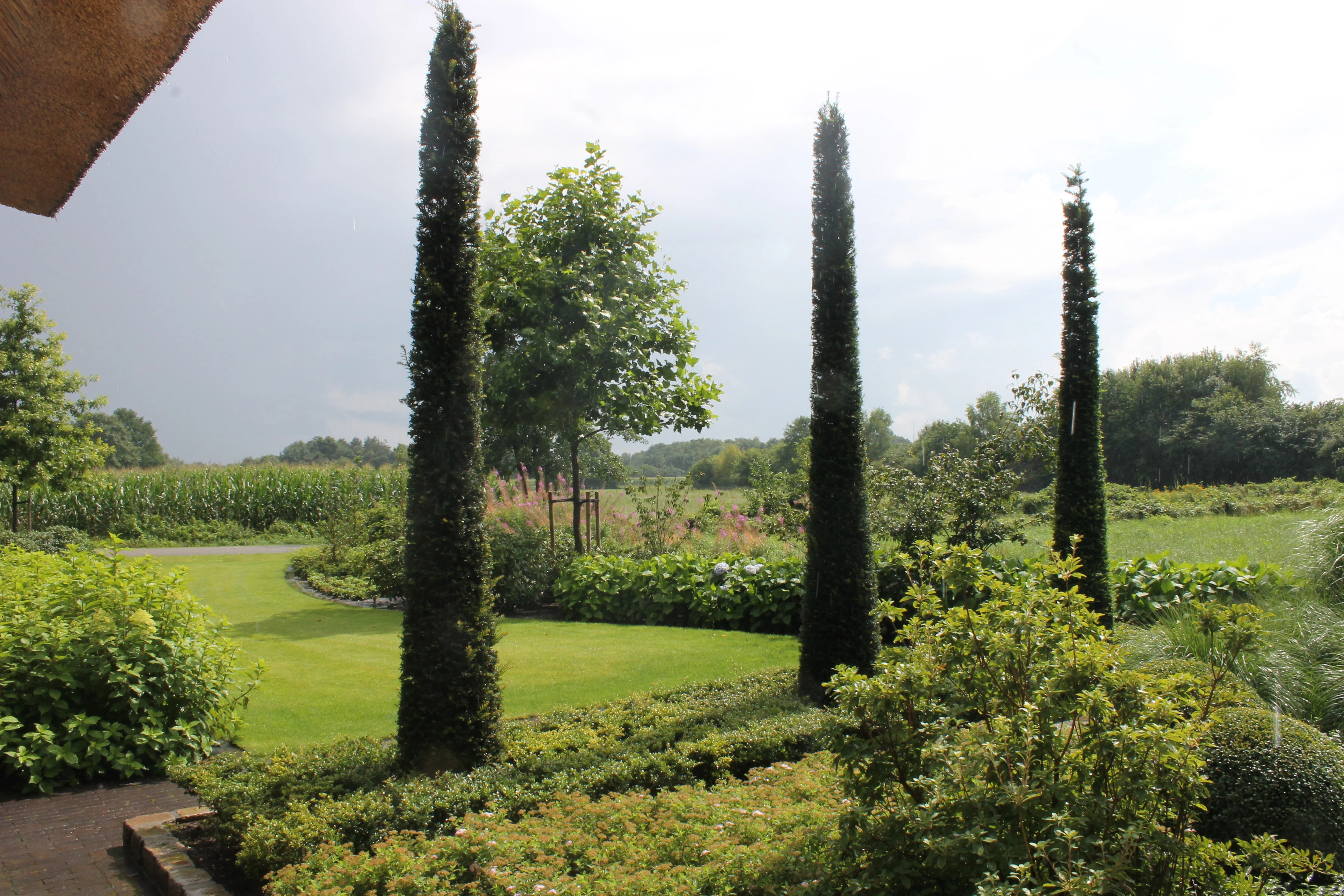 Bijzondere bomen en grote heesters zorgen voor body-3