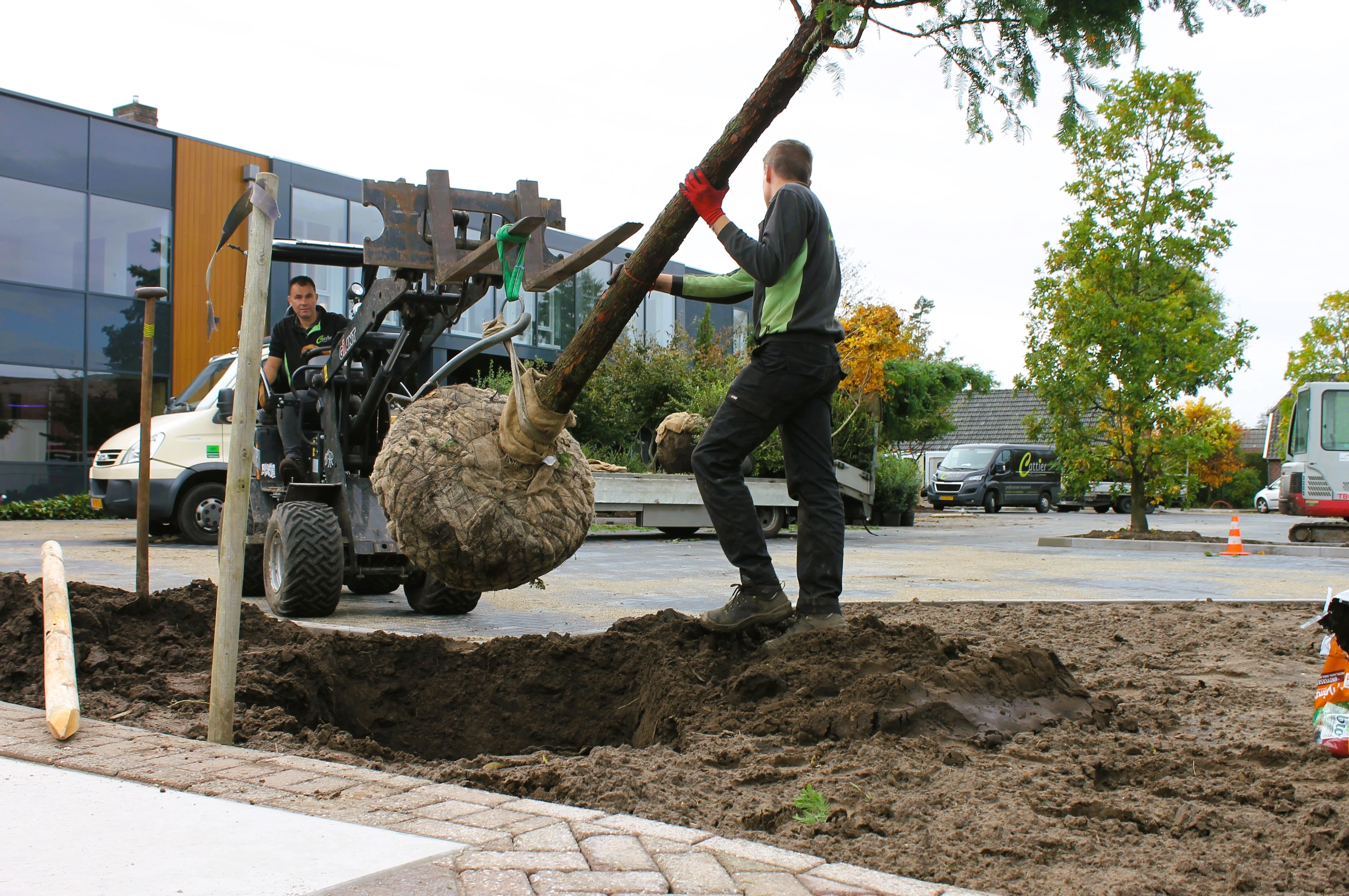 Transport van de bomen-9