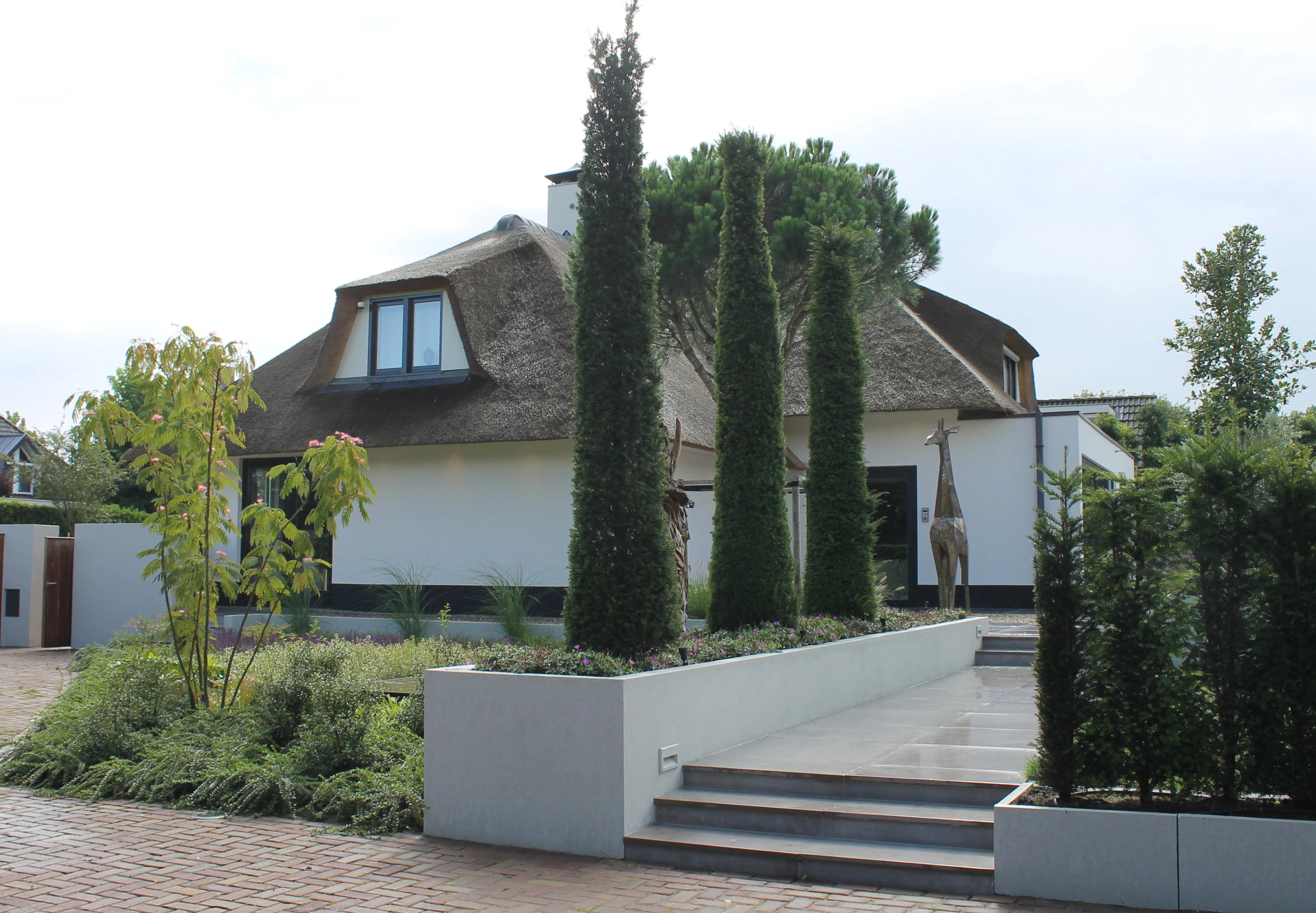 Taxus baccata  (zuilen & piramides)-5