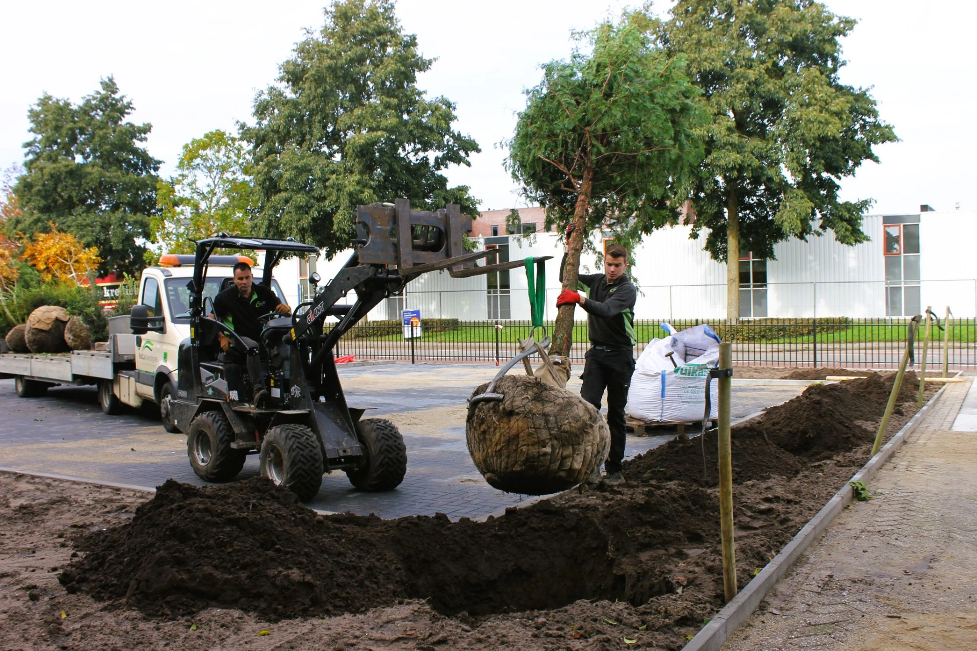 Bomen met karakter rondom een bedrijfspand -2