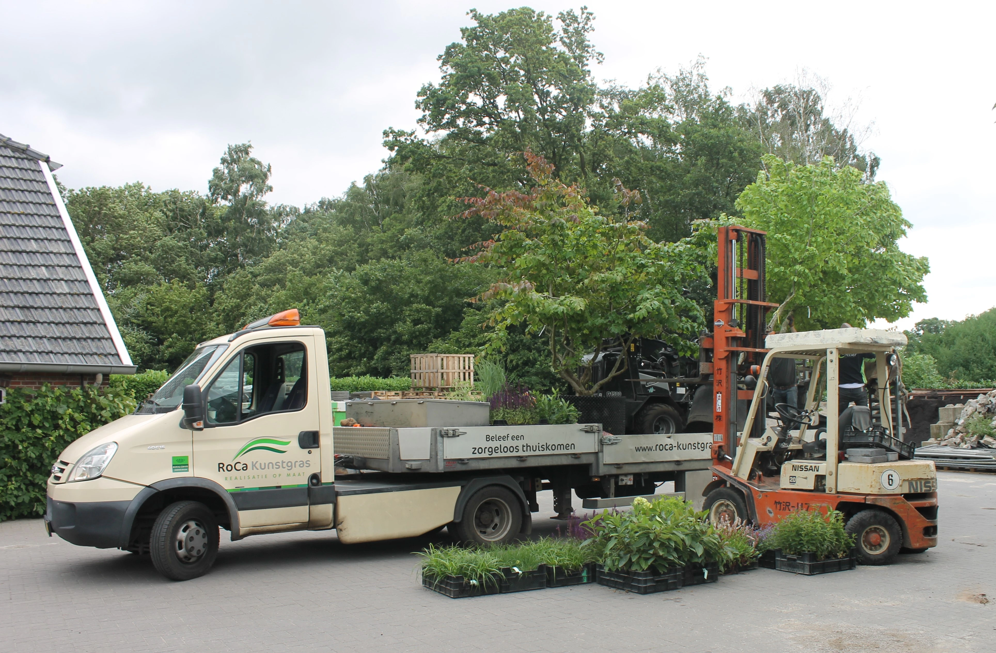 Transport van de bomen-11