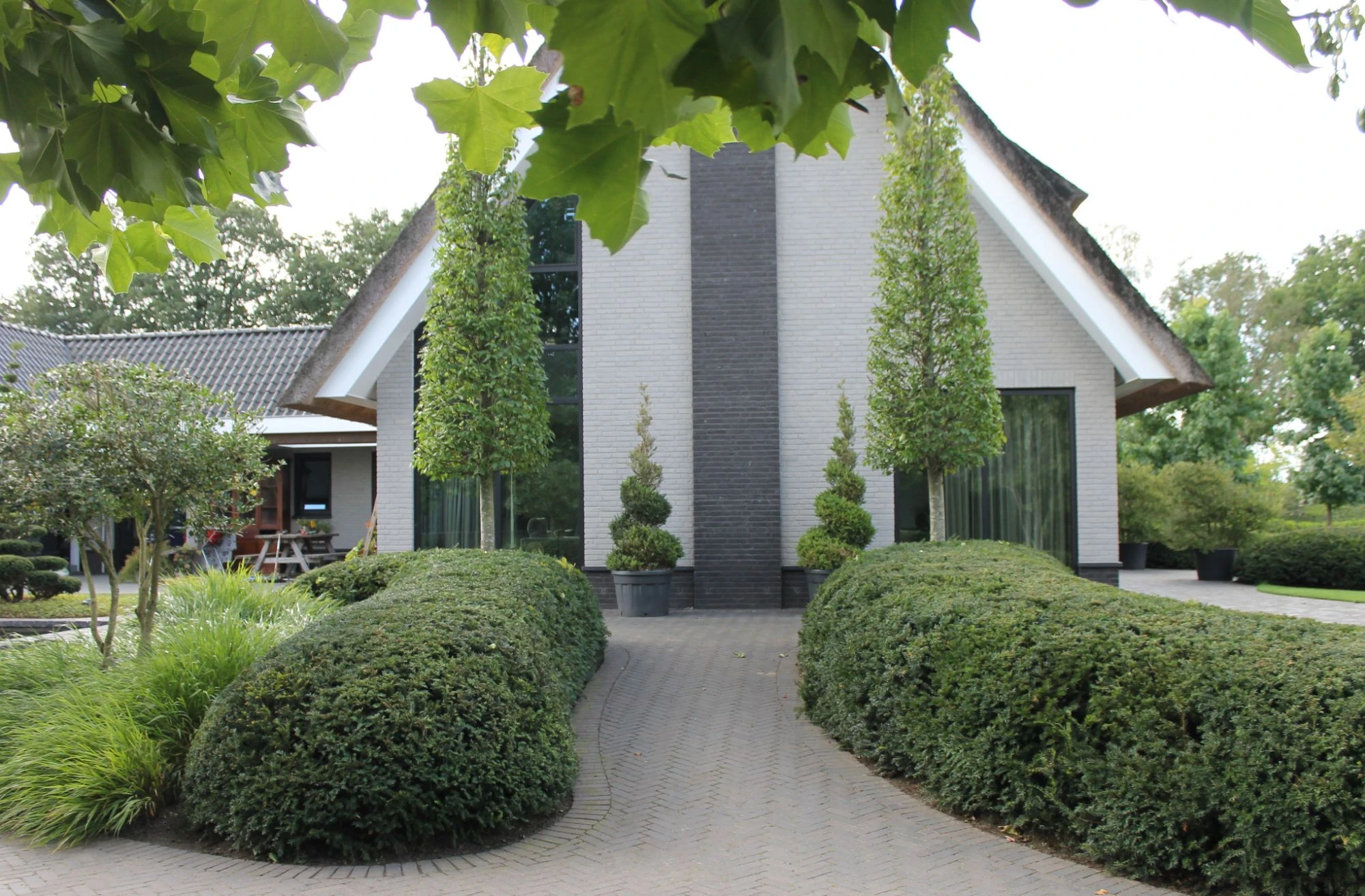 Grote bomen zorgen voor beslotenheid rondom zwemvijver -1