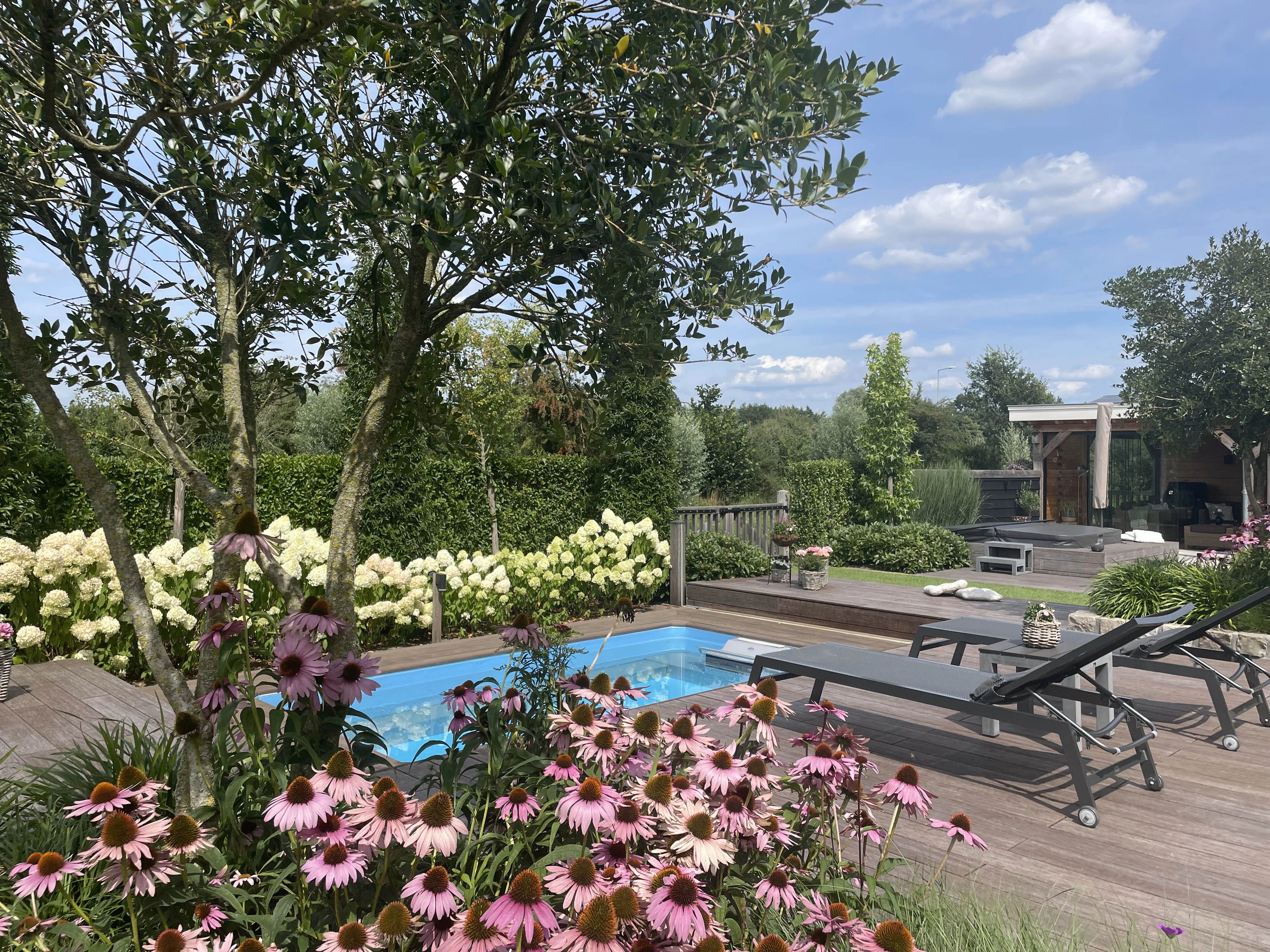 Groen zorgt voor geborgenheid in welnesstuin-4