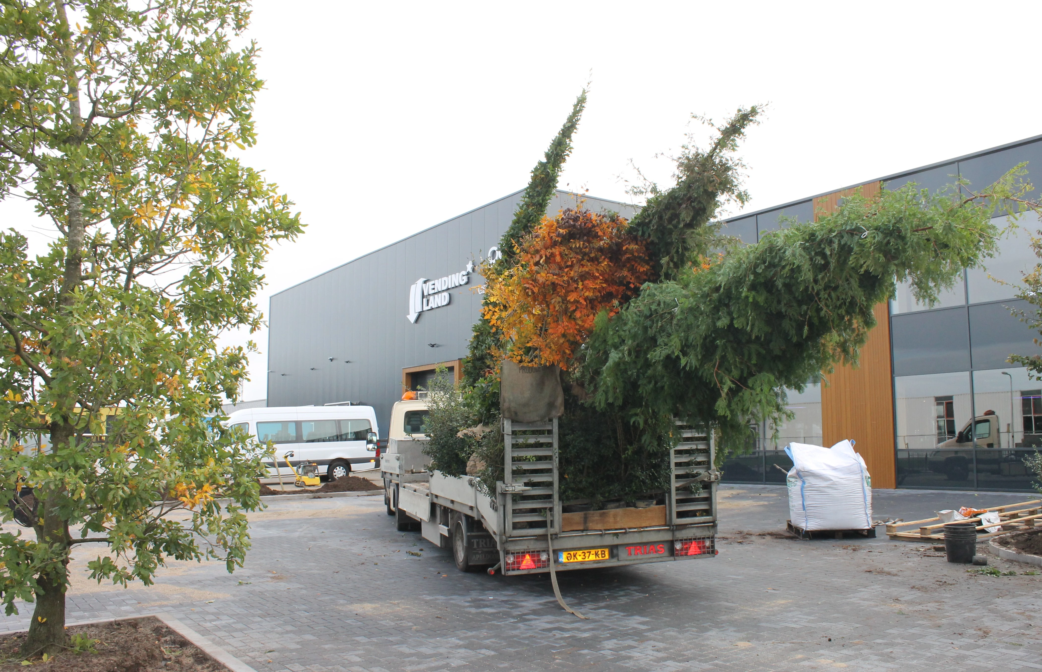 Transport van de bomen-6