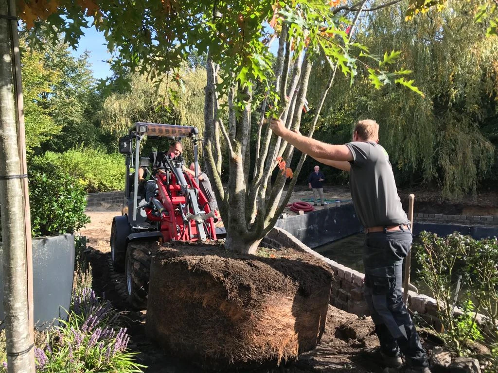 Transport van de bomen-7